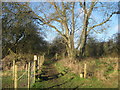 Footpath junction on the bridleway near Coombe Wood in CT18 7JA