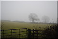Misty countryside near Enchmarsh in SY6 7JX