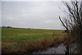 Cliffe Marshes from Farthing Wall in Cliffe and Cliffe Woods