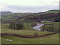 Fields by the Afon Dyfi in Glantwymyn Community