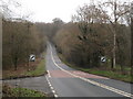 Savernake Forest A346 in SN8 3HW