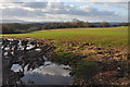 View over farmland to the Black Mountains in HR2 0BS