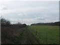 Footpath to Church Hougham in Maxton & Elms Vale Ward