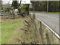 Broken chestnut fencing beside the A47, Lynn Road in PE32 1SA