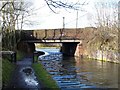 Leys Bridge in DY5 3TG