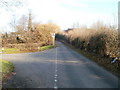 Cwmbran : St Dials Road narrows to a single-track road in NP44 3FQ