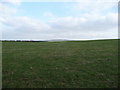 Field beside Offa's Dyke Path on Ffridd above Knighton in LD7 1EF