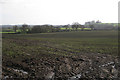 Large arable field below Mows Hill Farm in B94 5PP