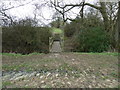 Footbridge carrying path SE to Barcombe Cross in BN8 5AU