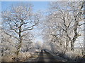 Frosty Yarridge Road in NE46 2NT
