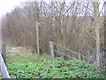 Footpath to Thurlow Close in IP17 1GD