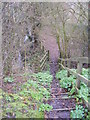 Footpath steps on the footpath to Thurlow Close in IP17 1GD