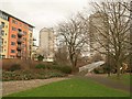 Footbridge, Sir John McDougal Gardens in E14 9EA