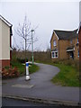 Path off Thurlow Close in IP17 1GD