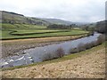 River Swale in DL11 6LE