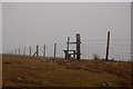 Stile and fence on Broom Fell in Bothel and Wharrels Ward
