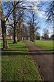 Tree-lined path, The Park in GL1 4UQ