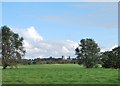 Looking across Bulney Meadows towards Long Melford church in CO10 9JY