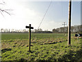 Bridleway sign near the entrance to Ashe Green Lodge in IP12 2RG