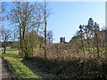 Park House folly from track entrance in GL13 9QX