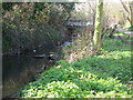 The Pool River north of Worsley Bridge Road, SE6 in SE6 3SP