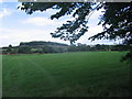 Grassy Field in ST18 9NH