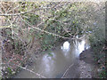 River Alne below Bird-in-Hand Bridge in B95 5QF