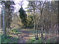 Footpath off the B1438 Yarmouth Road in IP12 1LY