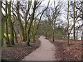 Eastham Woods Country Park in CH62 3RL