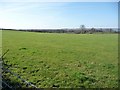 Arable land east of Birch Tree House in Thirn