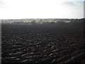 Newly ploughed field in EH54 9HU