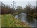 River Rother, looking downstream in S43 2BH