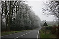 Frosted trees, Windwhistle in TA20 4DG