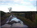 East Lothian Landscape : The Track To Brownrig Wood, near Lochhouses in EH42 1XP
