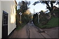 Exeter : Old Matford Lane in EX2 8ED