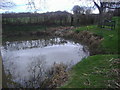 Pond on Back Lane, East Clandon in GU4 7RY