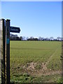 Footpath off the B1121 Main Road in IP17 1RP
