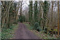 London Loop through woods south of Farnborough in BR6 7HH