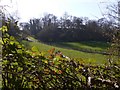 The road to Catteshall Farm seen from the bridleway in GU7 1UN