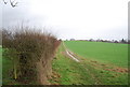 Footpath to Penshurst in TN11 8DJ