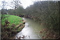 River Eden in TN11 8DJ