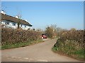 Road to Nettacott and houses at Nettacott Cross in EX5 5AH