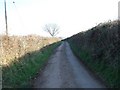 Road south of Nettacott in EX5 5AH