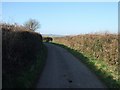 Lane from Nettacott to Five Oaks Cross in EX5 5YR