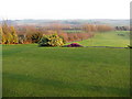 Sitwell Park Golf Club in S66 2AA