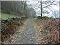 A section of Sarn Helen Roman road near Betws-y-Coed in LL24 0DA