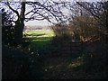 Footpath and fields beside the A3 near Milford in GU8 5JX