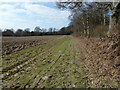 Bridleway alongside Kiln Wood in RH17 5AJ