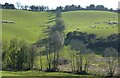Sheep grazing on a hillside in DE56 2LZ