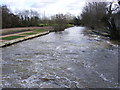 River Waveney downstream of Bungay Sluice in NR35 1BF